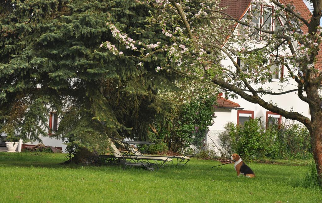Haeuser Der Villa Italia Marktheidenfeld Luaran gambar